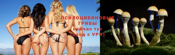 apvp Арсеньев
