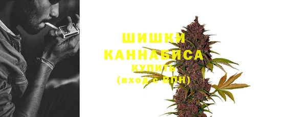 apvp Арсеньев