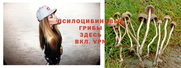 бутират Армянск
