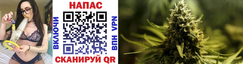Бошки марихуана Ganja  Могоча 